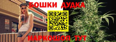 стаф Бузулук