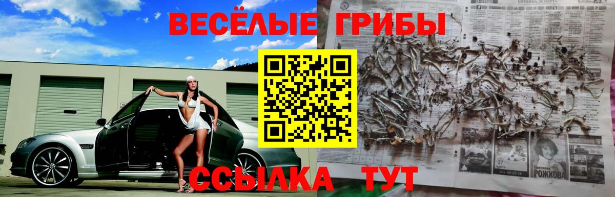 Галлюциногенные грибы ЛСД Унеча