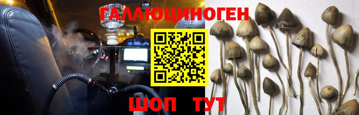 Унеча  Галлюциногенные грибы мицелий  купить   Вход с VPN 